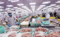 Xuất khẩu thủy sản giảm