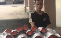 Triệt phá đường dây mua bán ma túy liên tỉnh quy mô lớn