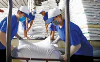 Tận dụng EVFTA mở rộng cơ hội xuất khẩu sang EU