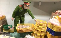 Tích trữ hơn 700kg thịt lợn nhiễm dịch tả châu Phi để bán