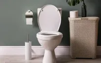 Tác hại nghiêm trọng của thói quen sử dụng điện thoại khi đi vệ sinh
