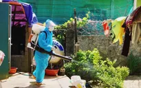 Số ca mắc sốt xuất huyết ở Quảng Bình tăng mạnh