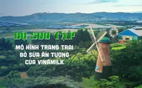 Bộ sưu tập các mô hình trang trại bò sữa ấn tượng của Vinamilk