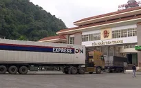 Từ 8/1/2023, hàng Việt xuất sang Trung Quốc không cần xét nghiệm
