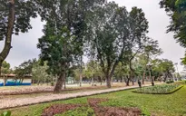 Bảo đảm an toàn sau khi dỡ rào Công viên Thống Nhất