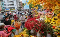 Thị trường đồ trang trí Tết dần sôi động