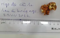 Ăn bỏng ngô nghi có tẩm cần sa, một phụ nữ bị ngộ độc phải nhập viện