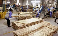 Ngành gỗ khó đạt mục tiêu xuất khẩu 16,5 tỷ USD