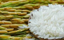 Gạo đặc sản Campuchia giành giải nhất cuộc thi gạo ngon thế giới