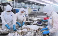 Xuất khẩu nông, lâm, thủy sản vượt kỷ lục