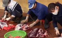 Nghi vấn “bò nhập khẩu” đường bộ