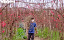 Hà Nội nghiêm cấm biếu, tặng quà Tết lãnh đạo