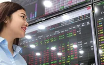 Khai xuân rực rỡ, VN-Index tăng hơn 9 điểm