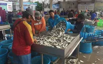 Thái Lan cần gấp 800.000 lao động nhập cư