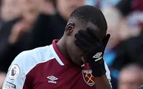 Ngược đãi động vật, Zouma trả giá đắt