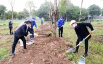 Thanh niên Thủ đô sẽ trồng mới 100.000 cây xanh trên địa bàn TP Hà Nội