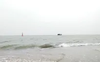 Làm rõ nguyên nhân vụ tàu hàng va chạm làm chìm tàu cá trên vùng biển Quy Nhơn
