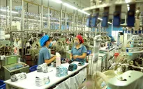 Năm 2022, tăng trưởng kinh tế Việt Nam có thể đạt từ 6,5% - 7%