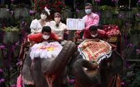 Những món quà độc đáo dịp lễ Valentine