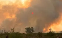 Cháy rừng tại Argentina thiêu rụi 500.000 ha trong bối cảnh hạn hán