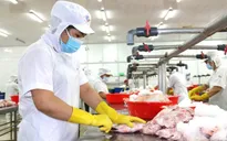 TP Hồ Chí Minh giành lại ngôi số 1 về xuất khẩu