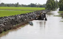 Cao điểm xâm nhập mặn tại Đồng bằng sông Cửu Long