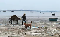 Bức bối mùa rác nhựa ở biển