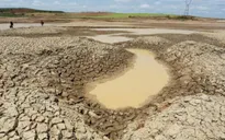 Cần chuẩn bị ứng phó ra sao với xâm nhập mặn năm nay?