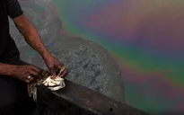 Ít nhất 9 vụ tràn dầu xảy ra trong 2 năm qua ở Venezuela, gây thiệt hại môi trường nghiêm trọng