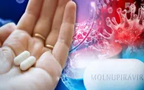 Chính thức cấp phép 3 loại thuốc chứa Molnupiravir sản xuất trong nước