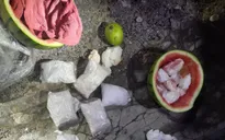 Đôi vợ chồng giấu 0,5 kg ma túy đá trong quả dưa hấu