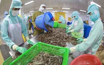 FTA: Trợ lực giúp xuất khẩu tăng tốc