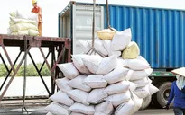 Giá gạo xuất khẩu Việt Nam cao nhất trong vòng 1 năm qua
