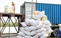 Xuất khẩu gạo tháng 10 của Việt Nam tăng cao kỷ lục