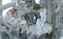 Băng tuyết phủ trắng đỉnh đèo Ô Quý Hồ
