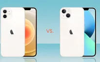 iPhone 12 và iPhone 13: Nên mua thiết bị nào?