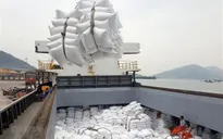 Hơn 55.100 tấn gạo Việt Nam được hưởng thuế suất 5% khi xuất sang Hàn Quốc