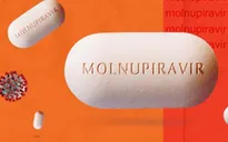 Chính thức: Giá thuốc Molnupiravir do Việt Nam sản xuất thấp nhất là 8.675 đồng/viên