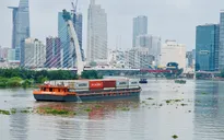 Doanh nghiệp vận tải biển điêu đứng vì giá xăng dầu