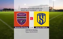 Bóng đá Việt Nam