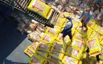 Giá gạo Việt vượt mặt Thái Lan