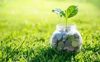 Việt Nam quyết tâm phát triển kinh tế xanh