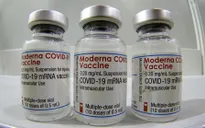Nam Phi sản xuất vaccine COVID-19 sử dụng các thông số của Moderna