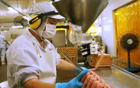 Nhiều doanh nghiệp tất bật sản xuất sau Tết