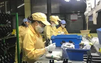 Công nhân hăng say lao động đầu năm mới Nhâm Dần