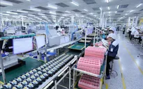 Doanh nghiệp châu Âu đánh giá tích cực môi trường thương mại, đầu tư của Việt Nam
