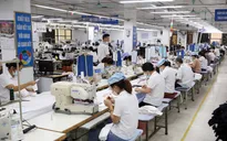 Nhiều chính sách mới có hiệu lực từ tháng 3/2022