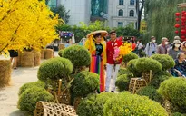 Du lịch TP Hồ Chí Minh thu 3.100 tỷ đồng dịp Tết Nhâm Dần