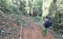 Thủ tướng yêu cầu khắc phục hậu quả vụ tai nạn giao thông đặc biệt nghiêm trọng tại Gia Lai