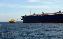 TP Hồ Chí Minh bắt vụ vận chuyển, tiêu thụ xăng dầu không nguồn gốc